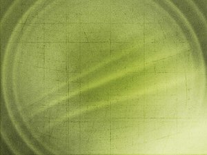 培训体系